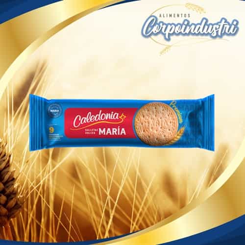 GALLETA MARIA CALEDONIA 24 UND 252GR - Confiteria en Corpoindustri