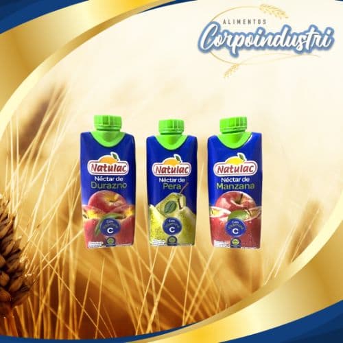 JUGOS NATULAC SURTIDOS 12 UND 330ML