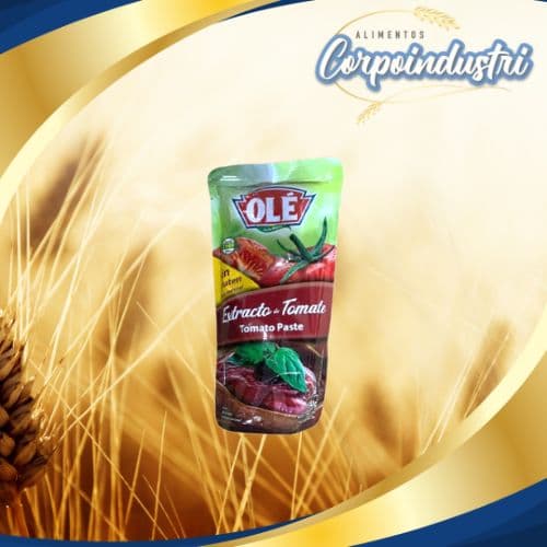 SALSA TOMATE CATCHUP OLE BS 24 UND 340GR