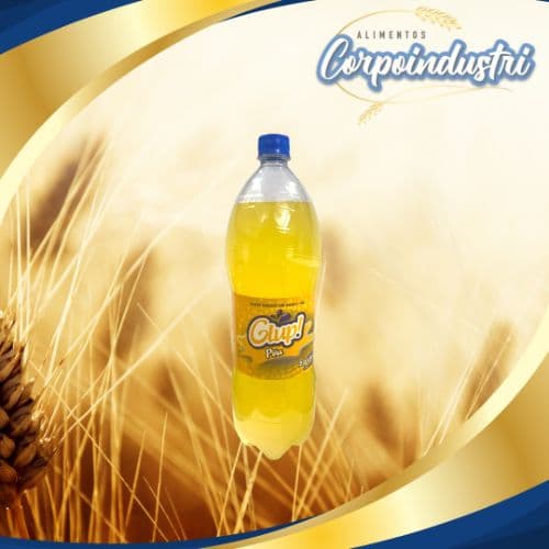 REFRESCO GLUP PIÑA 6 UND 2LTRS