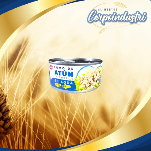 ATUN TIGO EN AGUA 24 UND 160GR