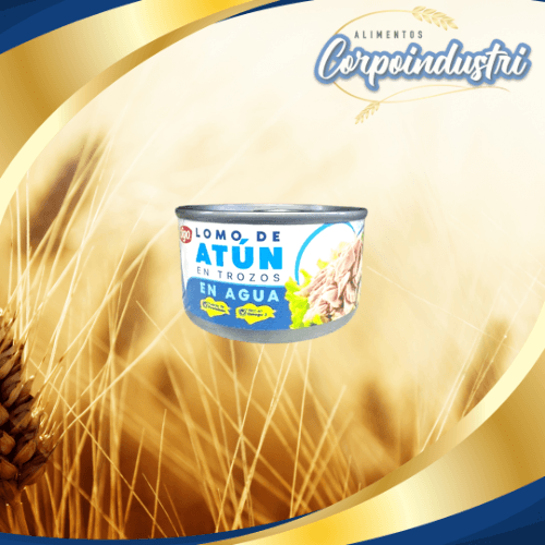 ATUN TIGO EN AGUA 24 UND 80GR