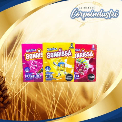 GELATINA SONRISA SURTIDAS 24 UND 66GR